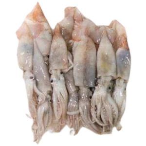 Canana pescado fresco alimentación maria jose
