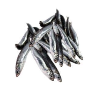 Boquerón fresco alimentación maria José pescadería matarraña