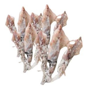 Calamar del norte fresco 1 kilo