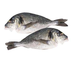 Dorada fresca