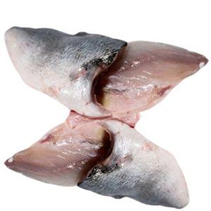 Filete de Dorada