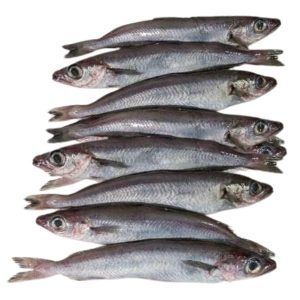 Maira fresca 1 kilo