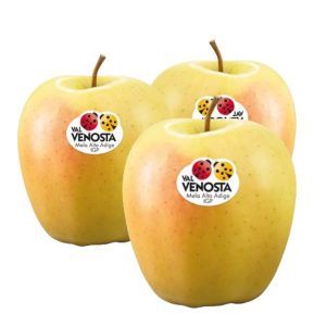 Manzana golden venosta alimentacion maria jose