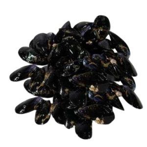 Mejillon de roca 1 kilo
