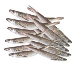 Merluza playa 1 kilo