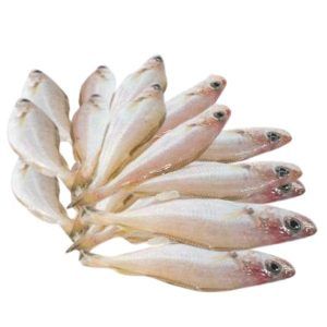 Mollera fresca 1 kilo