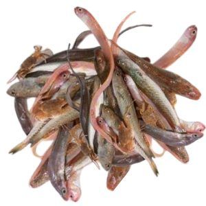 Pescado para caldo