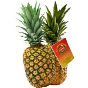 Piña del Monte
