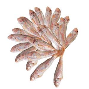 Salmon fresco