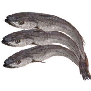 Merluza fresca