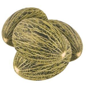 Melon