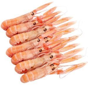 Cigalas nº 2 oferta navidad