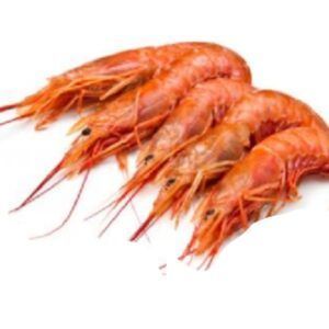 Gamba langostinera nº2 extra