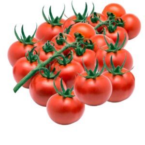 Tomate rama fruta y verdura alimentacion maria jose