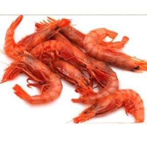 Gamba roja alistado chico Alimentación Maria José