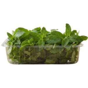 Compra bandeja de menta fresca en Alimentación María José. El aroma más intenso y refrescante para tus infusiones, postres y cócteles. ¡Hierba aromática de máxima calidad lista para usar!