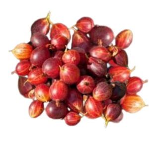Grosellas rojas brillantes y frescas en tarrina de Alimentación María José.