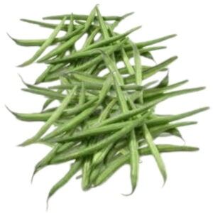 Judias-verdes-finas-y-frescas-de-color-verde-brillante-seleccionadas-por-su-calibre-uniforme-de-la-fruteria-Alimentacion-Maria-Jose