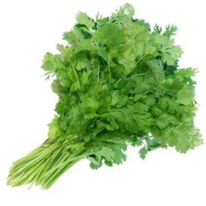 Manojo-de-cilantro-fresco-con-hojas-verdes-dentadas-y-tallos-tiernos-seleccionado-por-su-aroma-citrico-y-frescura-en-Alimentacion-Maria-Jose