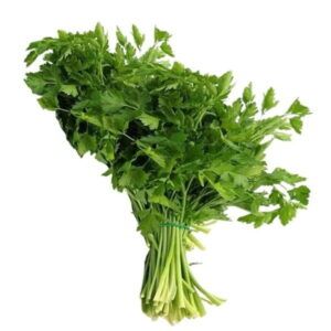 Manojo-de-perejil-fresco-de-color-verde-intenso-y-hojas-turgentes-recien-seleccionado-en-la-seccion-de-hierbas-aromaticas-de-Alimentacion-Maria-Jose.