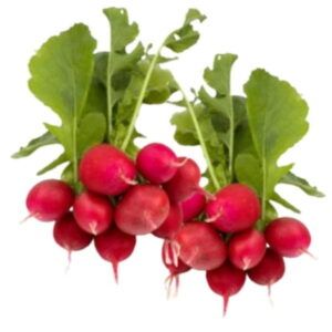 Manojo-de-rabanitos-frescos-de-color-rojo-intenso-con-hojas-verdes-turgentes-y-raiz-blanca-seleccionados-en-Alimentacion-Maria-Jose