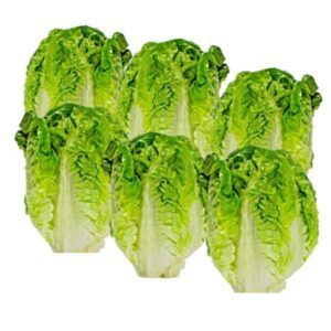 Pack de corazones de cogollos de Tudela, con hojas apretadas de color verde amarillento, limpios y listos para consumir, de Alimentación María José.