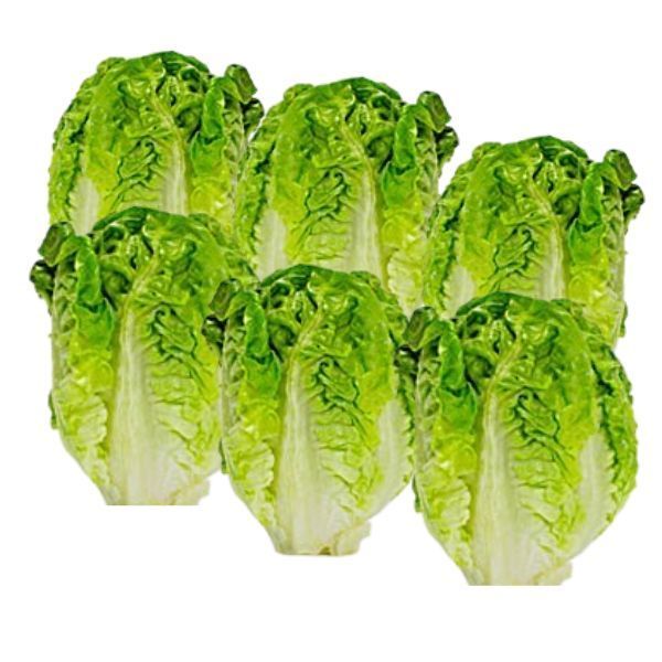 Pack de corazones de cogollos de Tudela, con hojas apretadas de color verde amarillento, limpios y listos para consumir, de Alimentación María José.