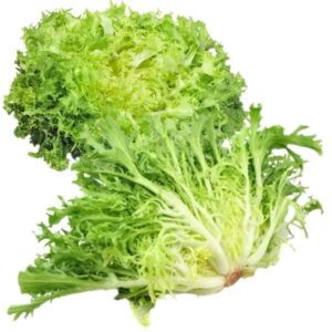 Pieza-de-escarola-rizada-fresca-de-color-verde-claro-y-corazon-blanco-cultivada-con-esmero-disponible-en-Alimentacion-Maria-Jose.