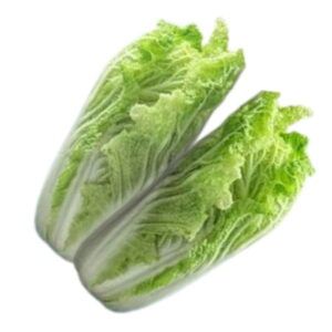 Pieza-entera-de-col-china-de-forma-alargada-con-hojas-blancas-en-la-base-y-verdes-suaves-en-las-puntas-de-aspecto-fresco-y-apretado-en-Alimentacion-Maria-Jose