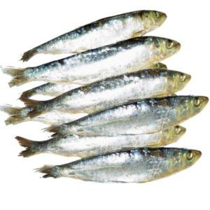 Sardinas-de-casco-en-salazon-con-escamas-plateadas-y-textura-firme-presentadas-de-forma-tradicional-disponibles-en-Alimentacion-Maria-Jose