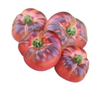 Tomates azules frescos de piel oscura y reflejos violáceos en Alimentación María José.