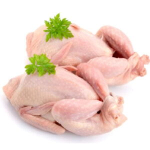 Perdiz congelada alimentacin maria jose